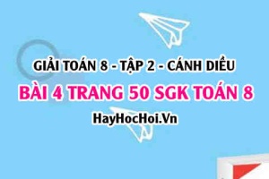 Bài 4 trang 50 Toán 8 Tập 2 Cánh Diều: Bài Toán Dạng Phân Số & Phương Trình